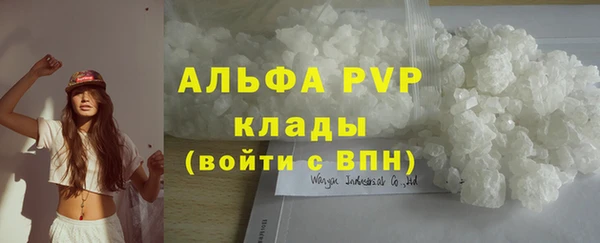 стаф Володарск
