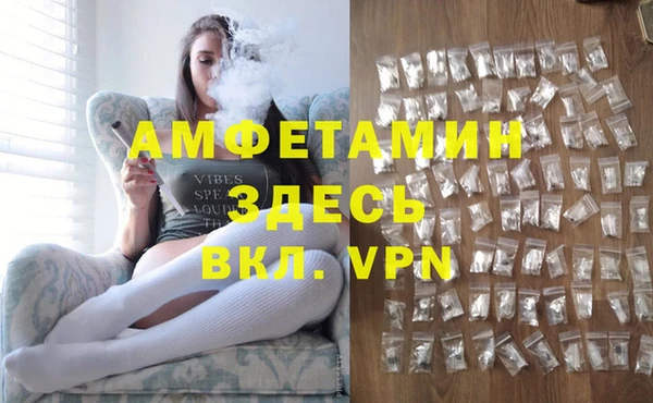 стаф Володарск