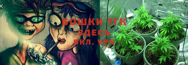 стаф Володарск