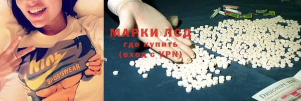 стаф Володарск