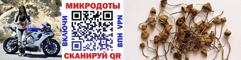 Галлюциногенные грибы ЛСД  где купить   omg как зайти  Ялта 