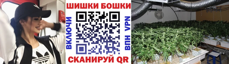 как найти закладки  Ялта  Марихуана сатива 